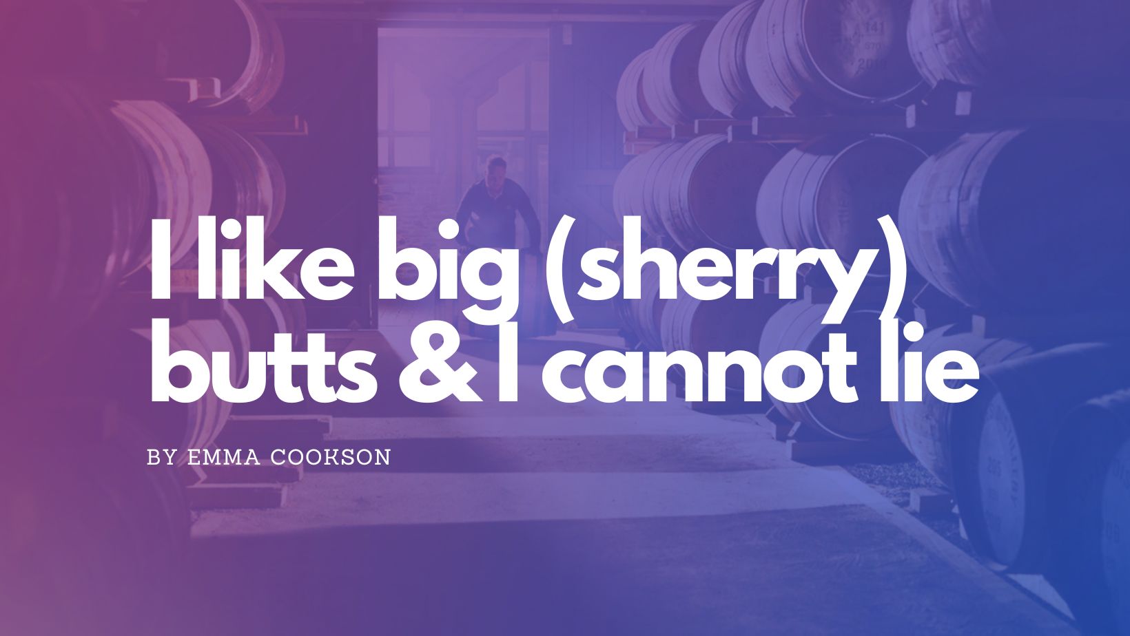 I Like Big But Cannot Lie Lyrics